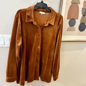 Ladies Velour Long Sleeve Top